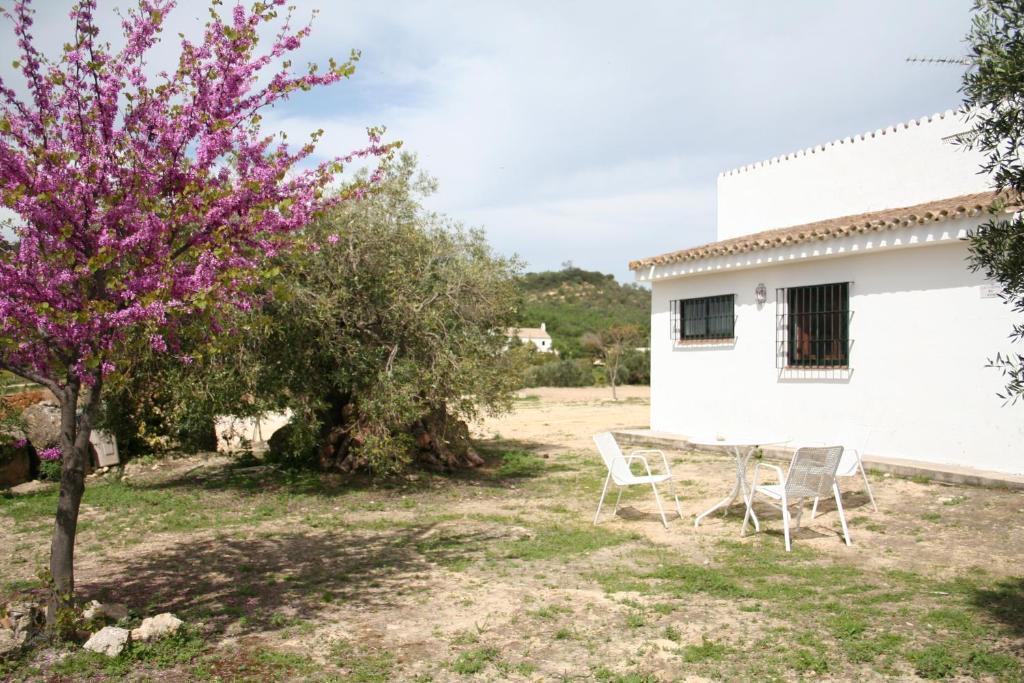 Cortijo Barranco Pension Arcos de la Frontera Kamer foto