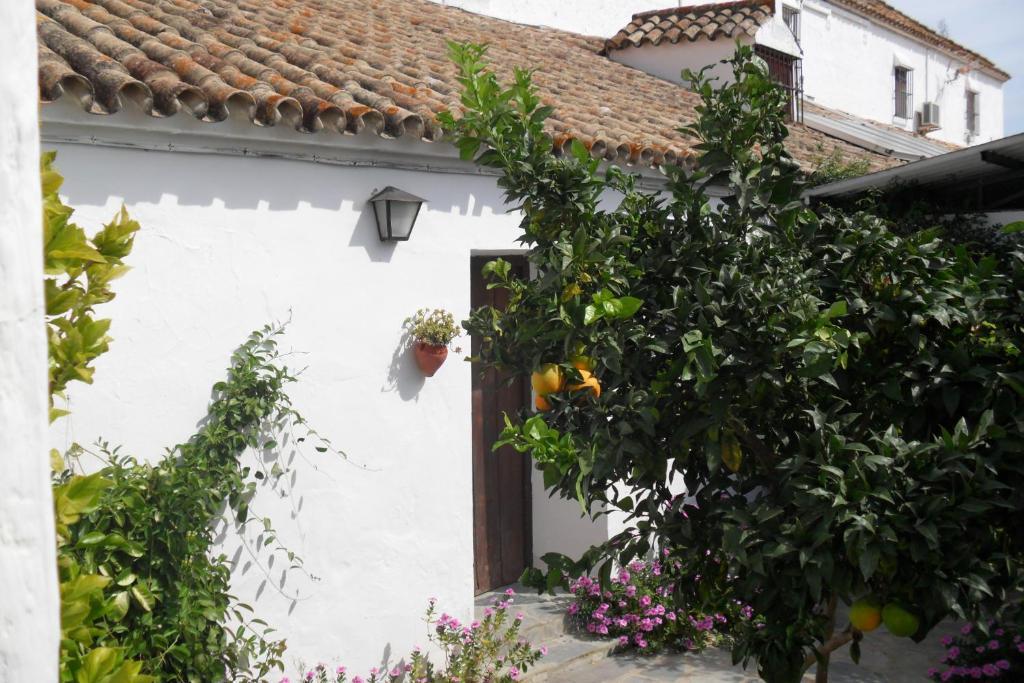 Cortijo Barranco Pension Arcos de la Frontera Kamer foto