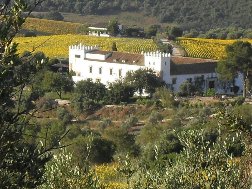 Cortijo Barranco Pension Arcos de la Frontera Kamer foto